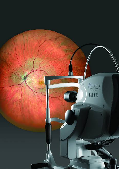 Ultra-wide-field retinal imaging system with a wide-field fundus photograph